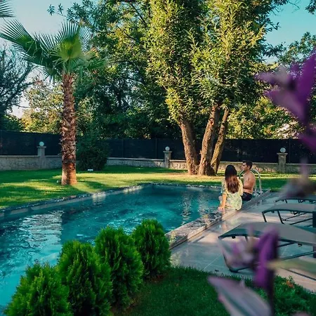Villa Greyvilla *